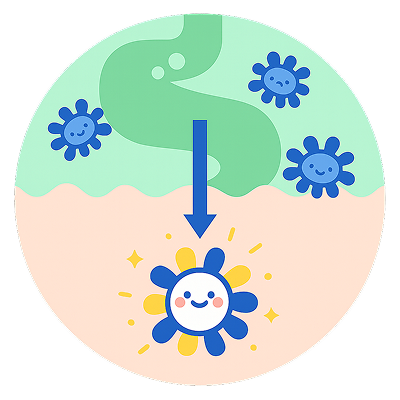 День 1-3 - Адаптація