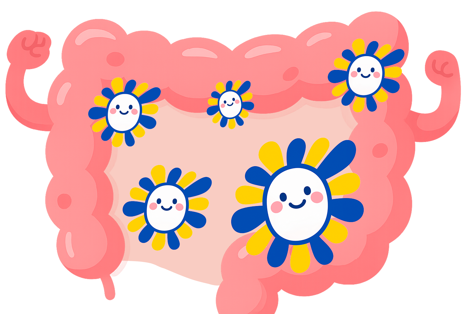 День 14-20 - Відновлення мікрофлори