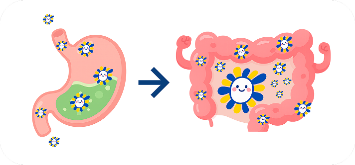 Наріне заселяє слизову і створює власні колонії